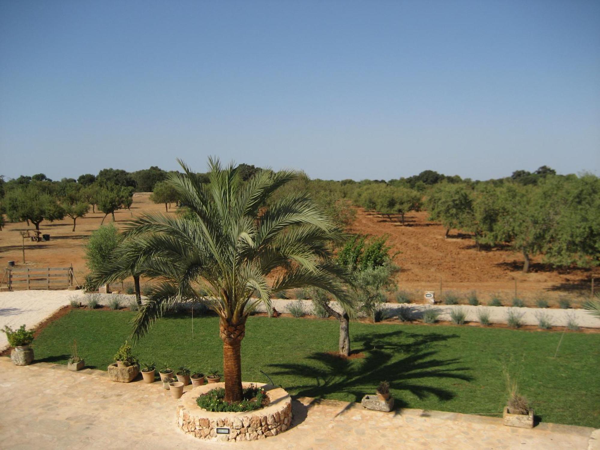 Son Capellot Villa Felanitx Exterior photo